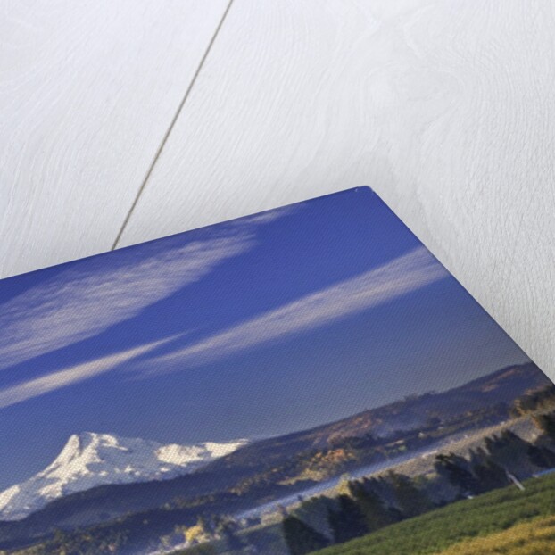 Mt. Hood, Hood River Valley, Columbia River Gorge National Scenic Area, Oregon by Anonymous