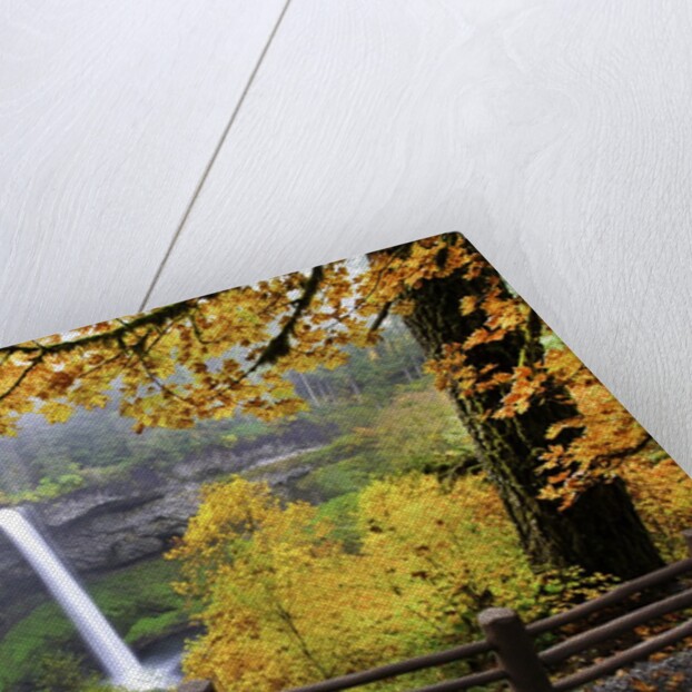 Fall colors add beauty to South Silver Falls, Silver Falls State Park, Oregon by Anonymous