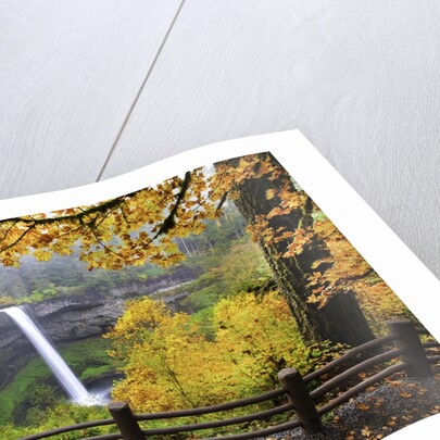 Fall colors add beauty to South Silver Falls, Silver Falls State Park, Oregon by Anonymous