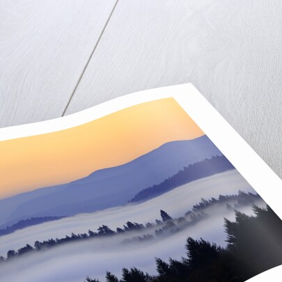 Sunrise through morning fog adds beauty to Happy Valley, Oregon, Pacific Northwest by Anonymous