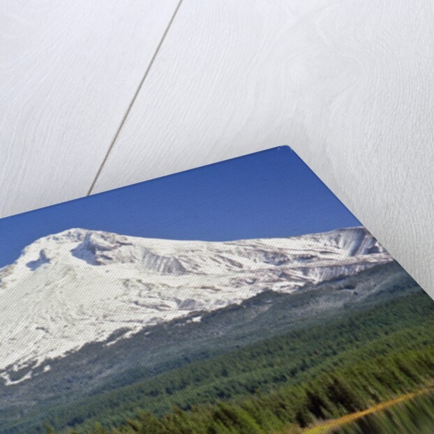 Fishing at Trillium Lake by Anonymous
