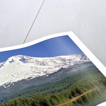 Fishing at Trillium Lake by Anonymous