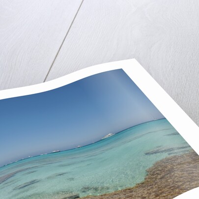 Balearic Islands - beach called 'platja de LLevant', parc des salines by Anonymous
