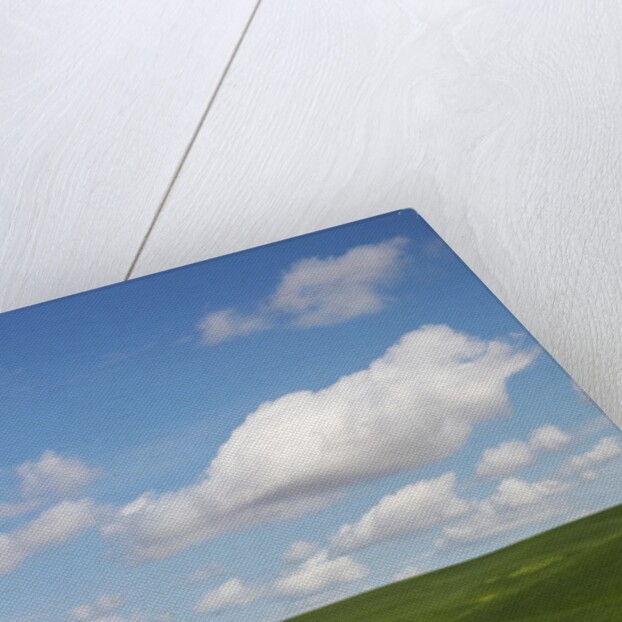 Spring Rolling Hills of Wheat and Clouds by Anonymous