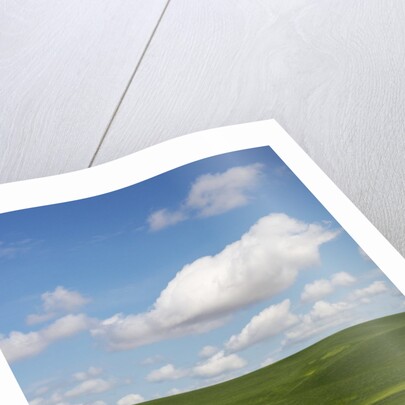 Spring Rolling Hills of Wheat and Clouds by Anonymous