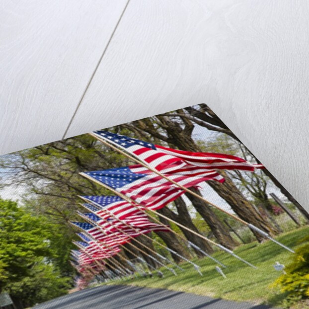 United States of America Flags Lining Tree Lined Road by Anonymous