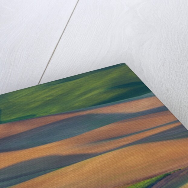 Spring Rolling Hills of Wheat and Fallow fields by Anonymous