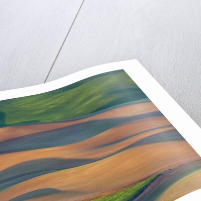 Spring Rolling Hills of Wheat and Fallow fields by Anonymous