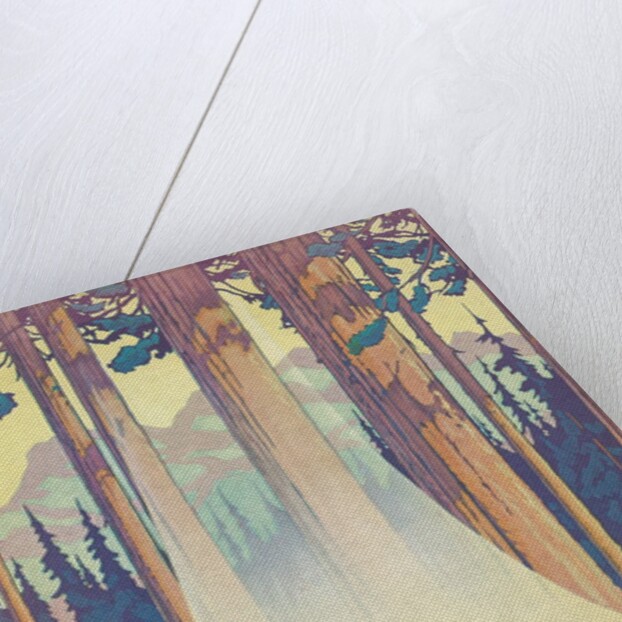History of Paper Making, Egypt to Pine Forest by Anonymous