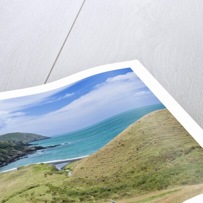 Hiking the Coromandel Coastal Walkway by Anonymous