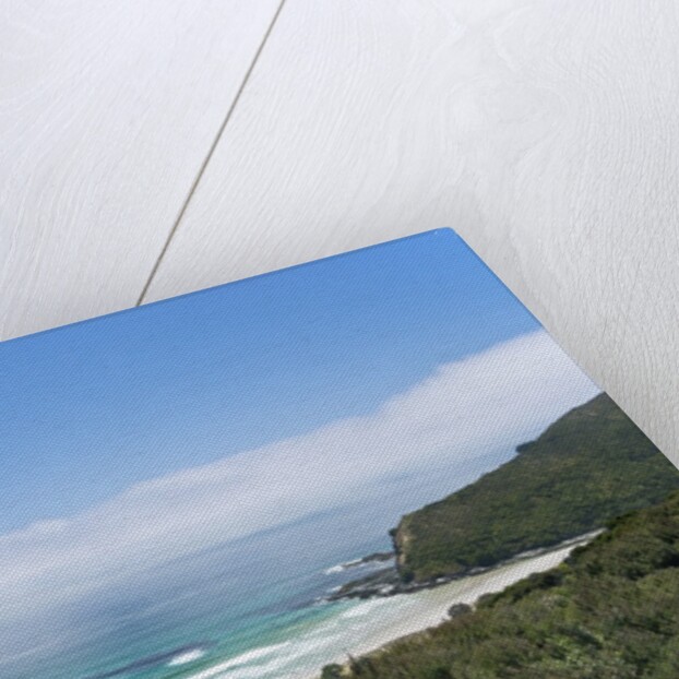 Tapotupotu Bay by Anonymous