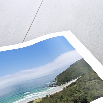 Tapotupotu Bay by Anonymous