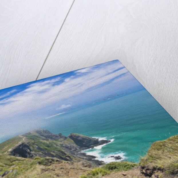 Te Werahi Beach Track by Anonymous