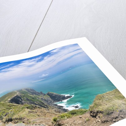 Te Werahi Beach Track by Anonymous