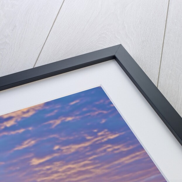 Bay of Islands Sunrise by Anonymous