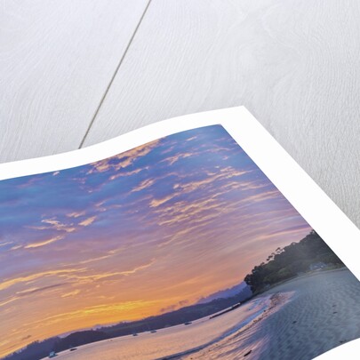 Bay of Islands Sunrise by Anonymous