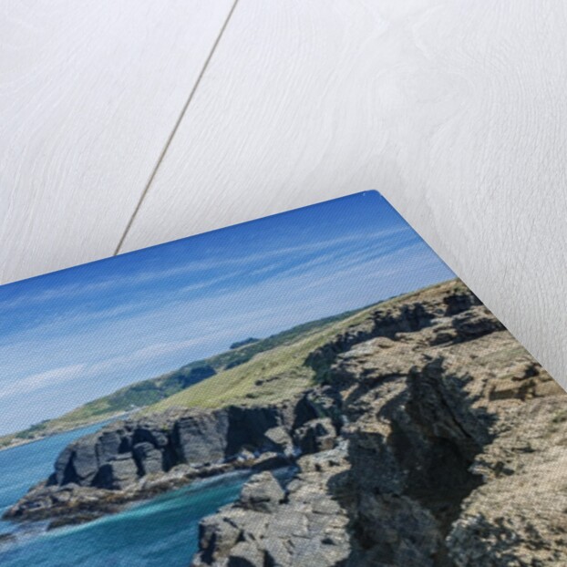 Slope Point by Anonymous