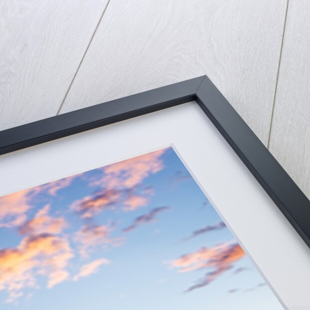 Moeraki Boulders at Dawn by Anonymous