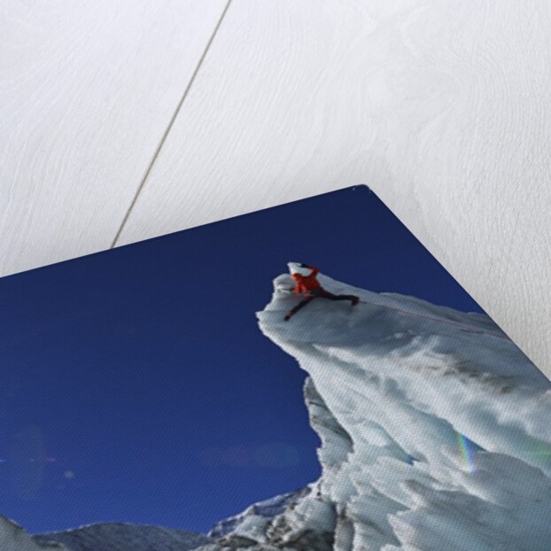Ice climbing in the Bernese Oberland, Swiss Alps by Anonymous