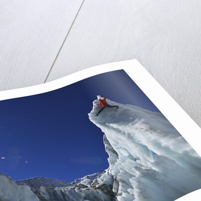 Ice climbing in the Bernese Oberland, Swiss Alps by Anonymous