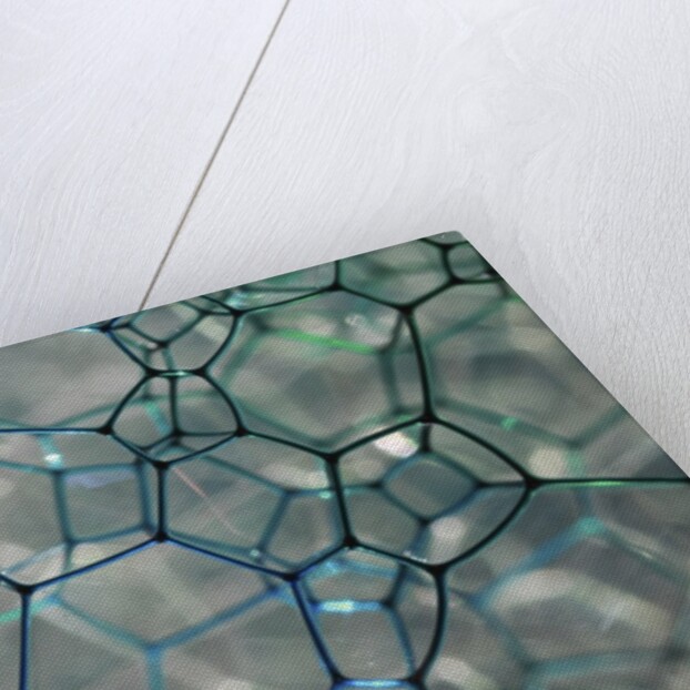 Close-up Patterns in Soap Bubbles by Anonymous