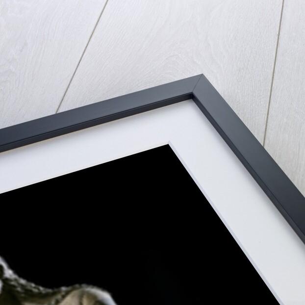 Apollo of Veio - Etruscan art by Anonymous