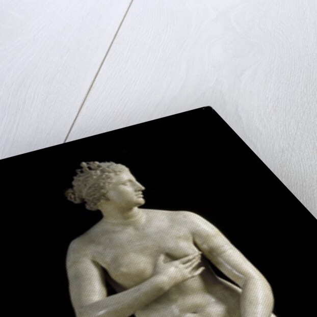 The Medici Venus - Marble copy of Greek sculpture by Anonymous