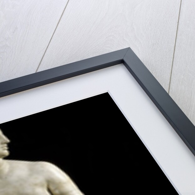 The Medici Venus - Marble copy of Greek sculpture by Anonymous