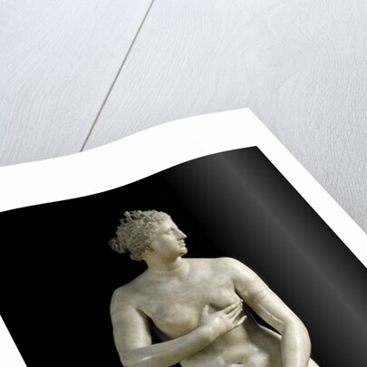 The Medici Venus - Marble copy of Greek sculpture by Anonymous
