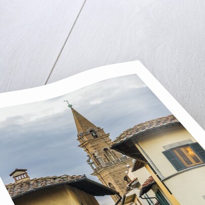 The Sdrucciolo (street) dei Pitti and the bell-tower of the Chiesa (church) di Santo Spirito by Anonymous