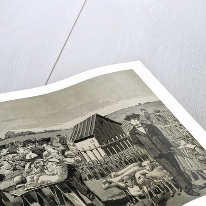 PASTEUR, Louis (1822-1895). Vaccination of sheep against anthrax. by Anonymous