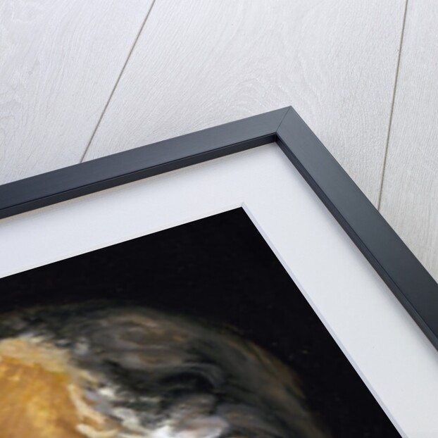 William James (1842-1910). by Anonymous