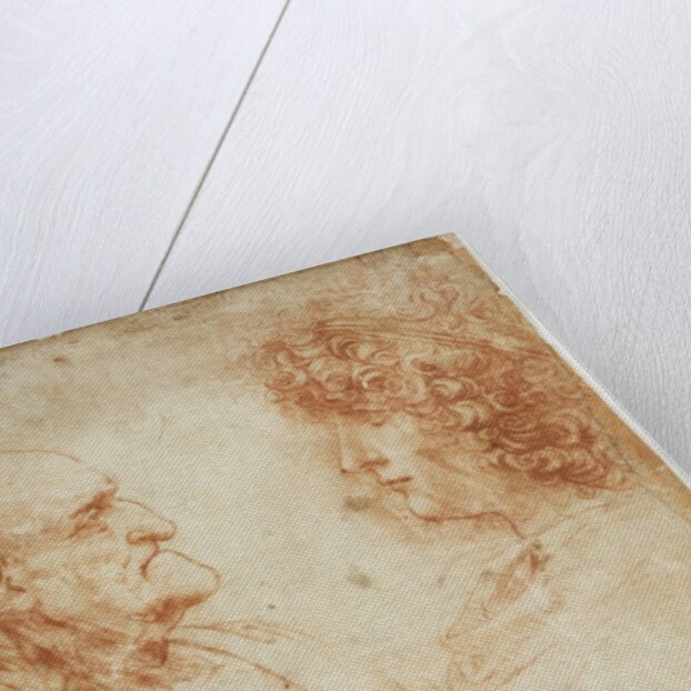 Drawing of an Old Man and a Youth by Leonardo da Vinci