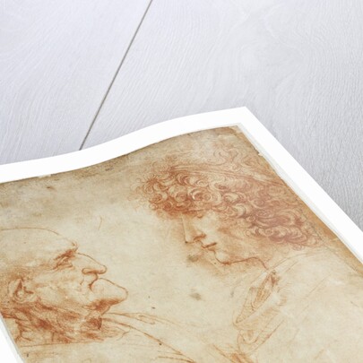 Drawing of an Old Man and a Youth by Leonardo da Vinci