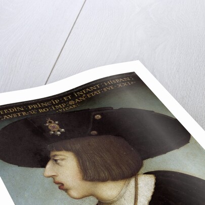 Portrait of Ferdinand I by Hans Maler zu Schwaz
