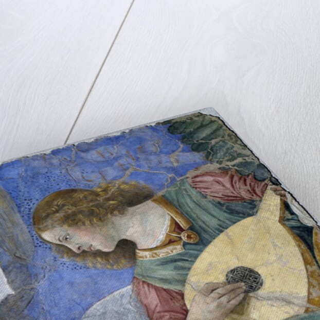 Musical Angel or Angel Musician by Melozzo da Forli