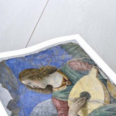 Musical Angel or Angel Musician by Melozzo da Forli