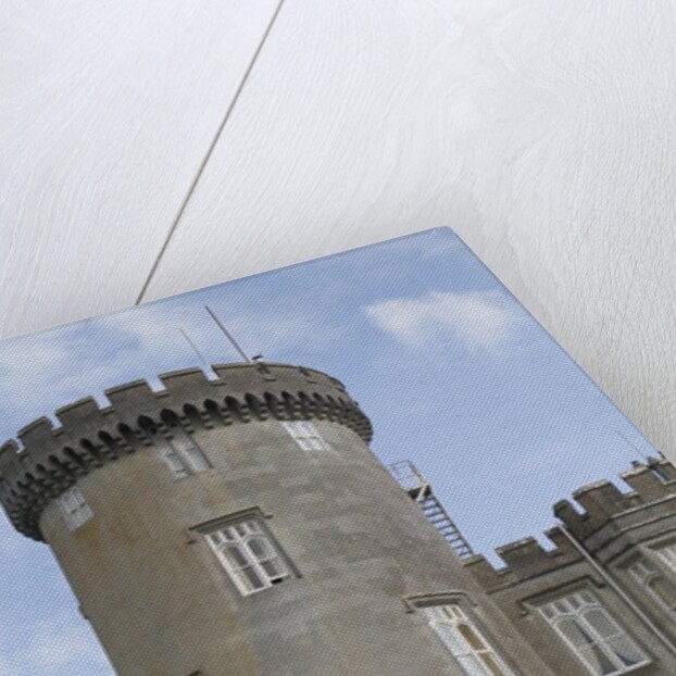 Dromoland Castle turret by Anonymous
