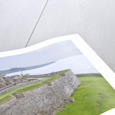 Charles Fort by Anonymous