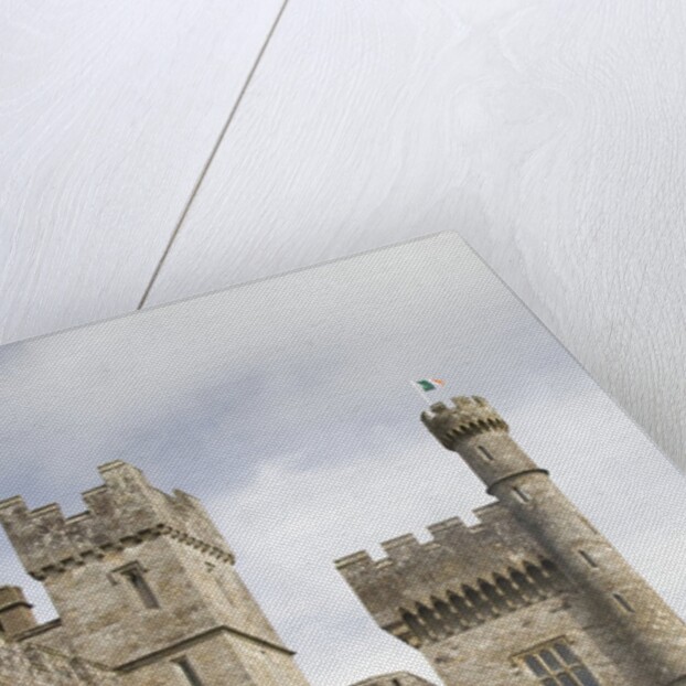 Lismore Castle by Anonymous