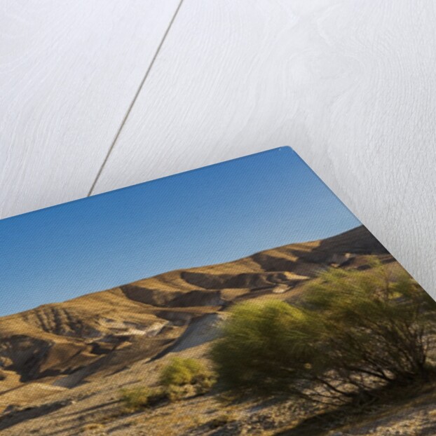Negev Desert, landscape by Anonymous