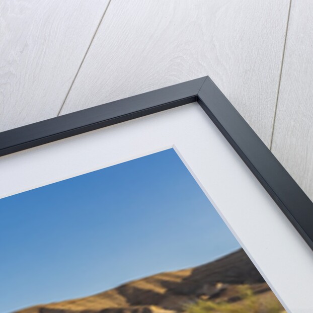 Negev Desert, landscape by Anonymous