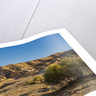 Negev Desert, landscape by Anonymous