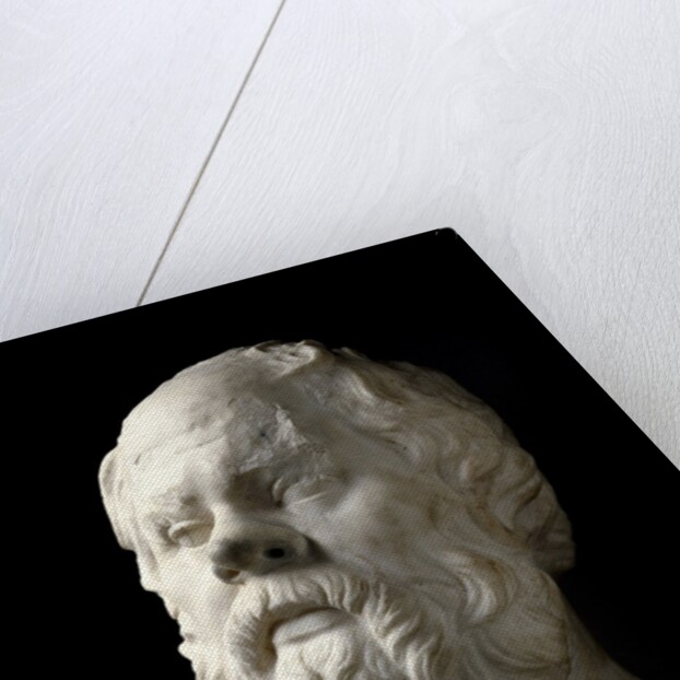 Portrait of Socrates by Anonymous