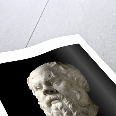 Portrait of Socrates by Anonymous