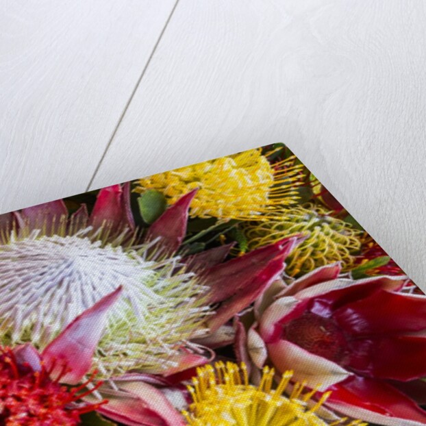 Wild Flowers of Hawaii by Anonymous