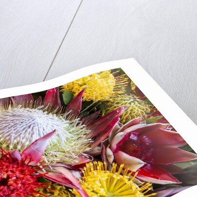 Wild Flowers of Hawaii by Anonymous