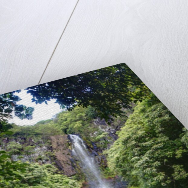 Waterfall along the Hana Highway by Anonymous