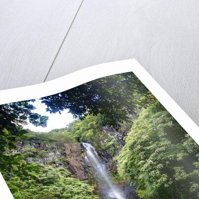 Waterfall along the Hana Highway by Anonymous