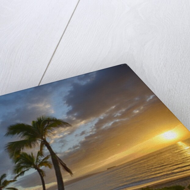 Sunset on Southern Maui Beach with Palm Trees by Anonymous